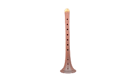 ZE34-3 ERİK ZURNA ANTEP YÖRESİ