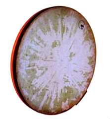 HABİBİ ORJİNAL KUTULU ERBANE GÜNEŞ MODEL KILIF HEDİYE