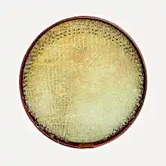 REMO ERBANE DÜZ KALİTELİ PROFESYONEL KILIF HEDİYE