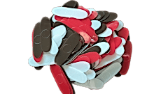 SAZ MIZRAP UCUZ 100 ADET